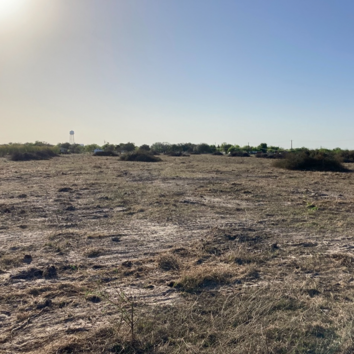 Land Clearing