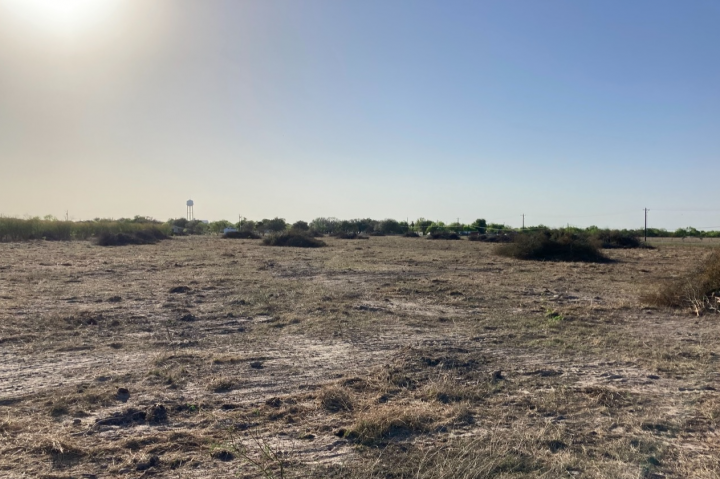 Land Clearing