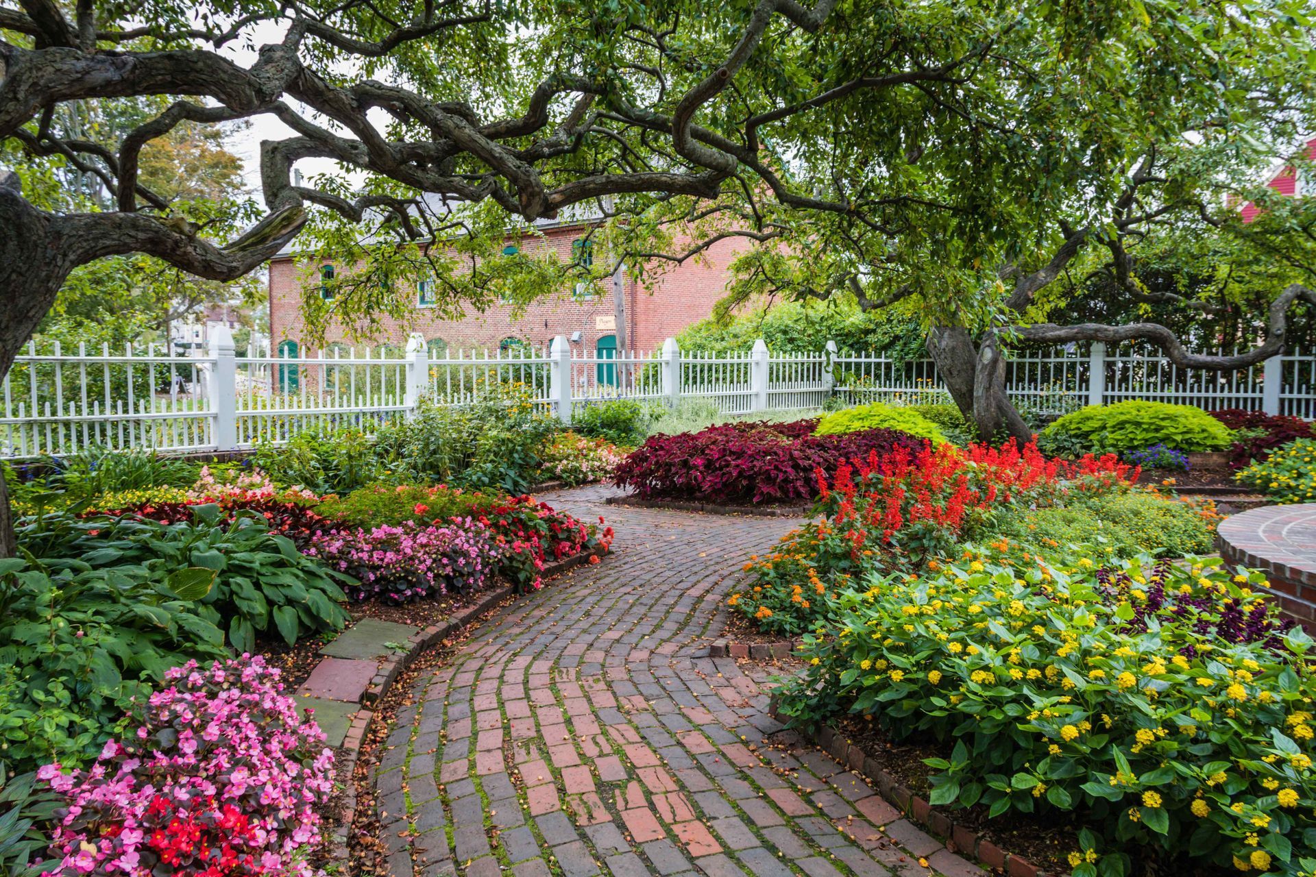 A garden with brick path