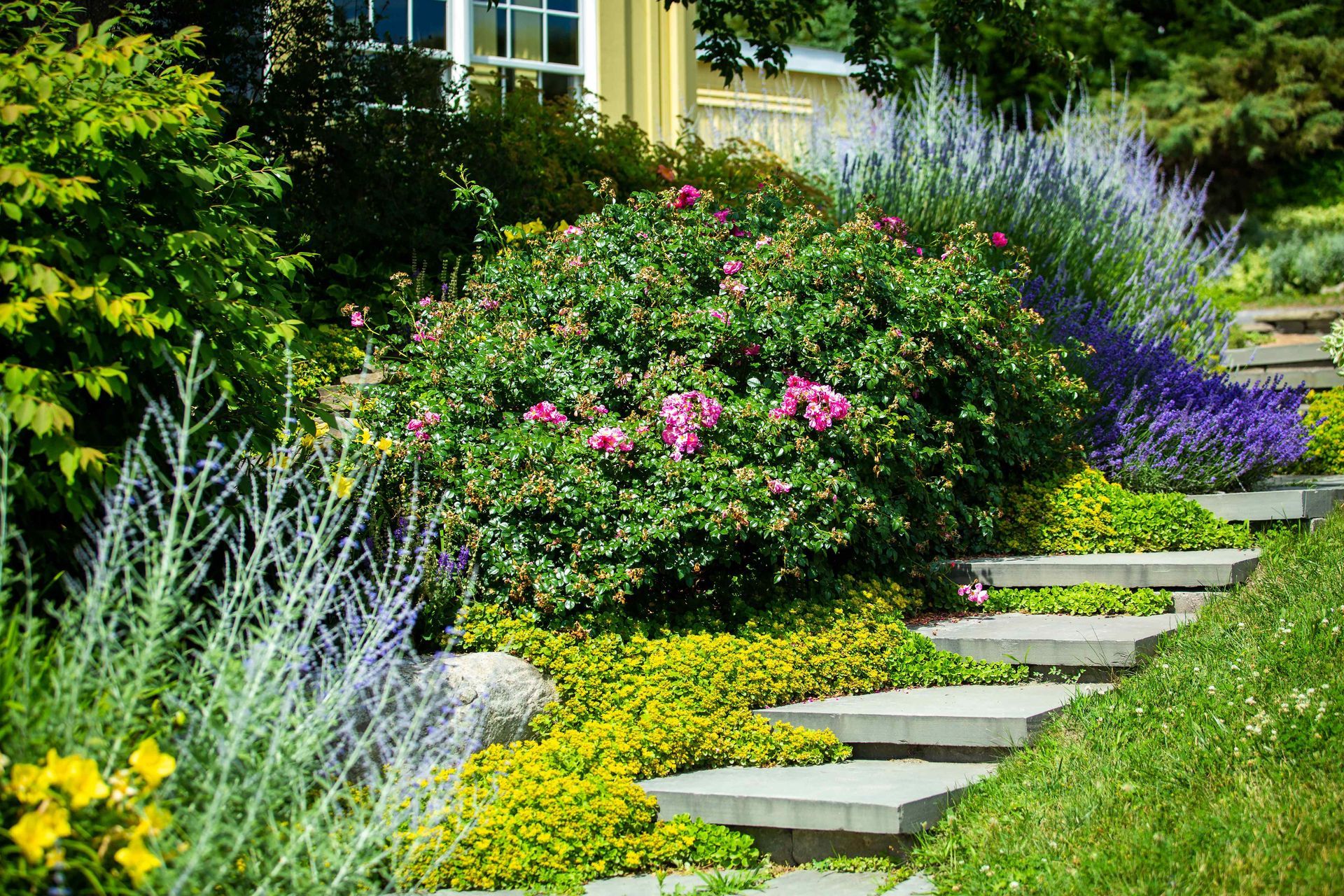 garden path stairs