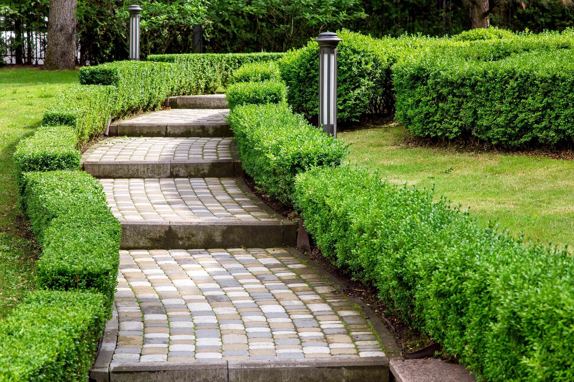 outdoor big long steps