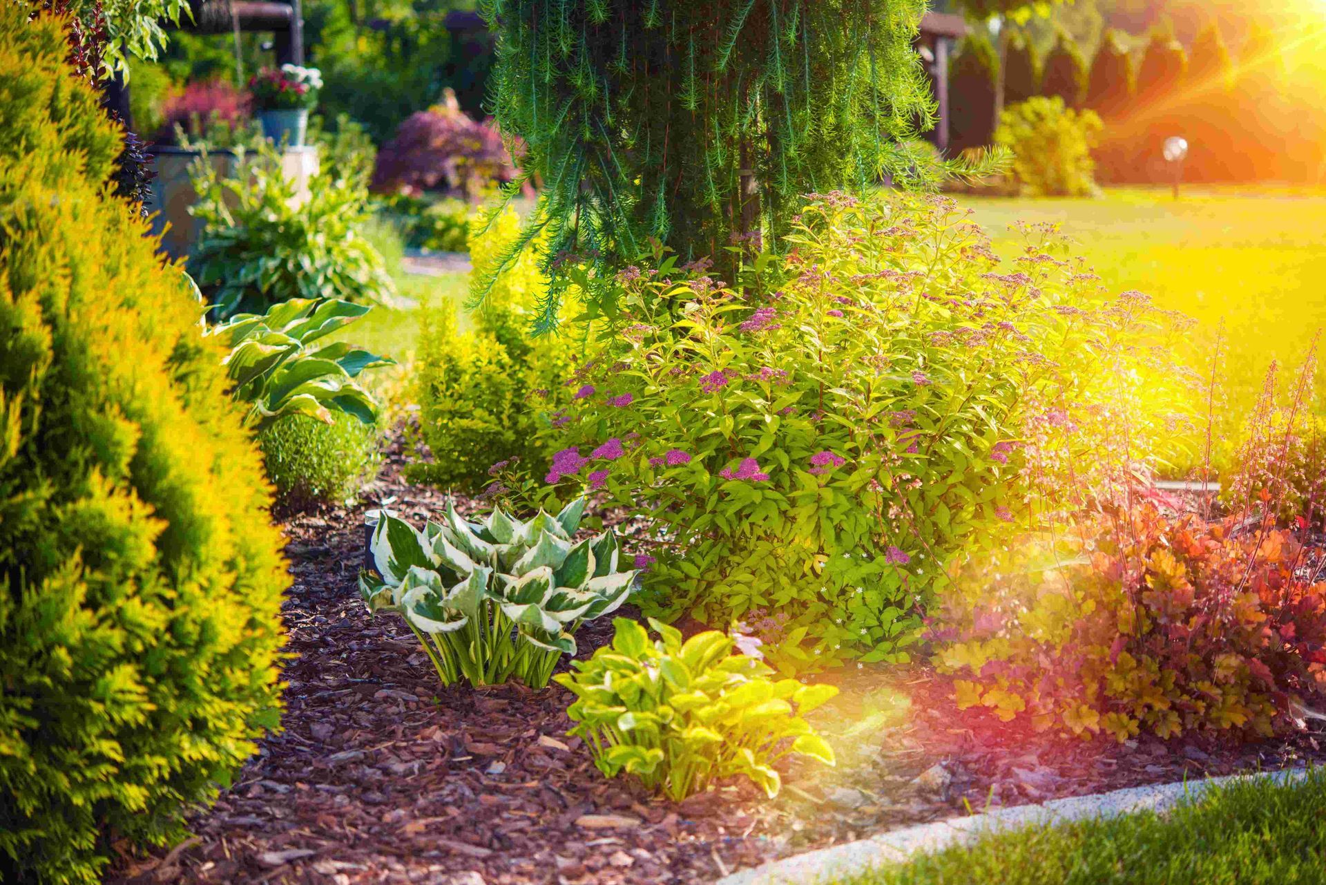 A lush landscape with many colorful plants
