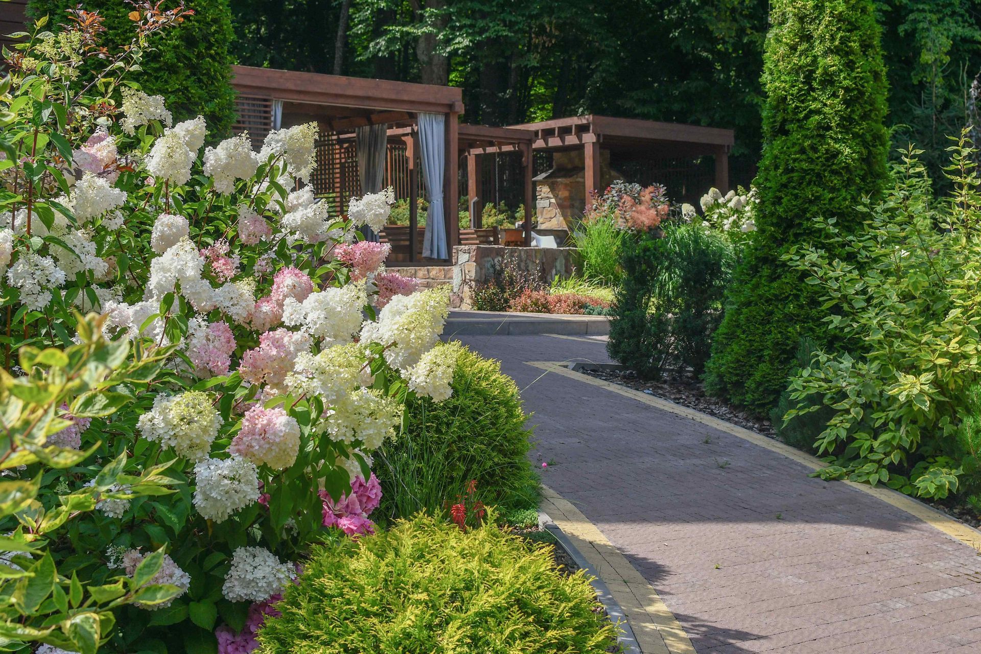 A nice big garden with tall flowers