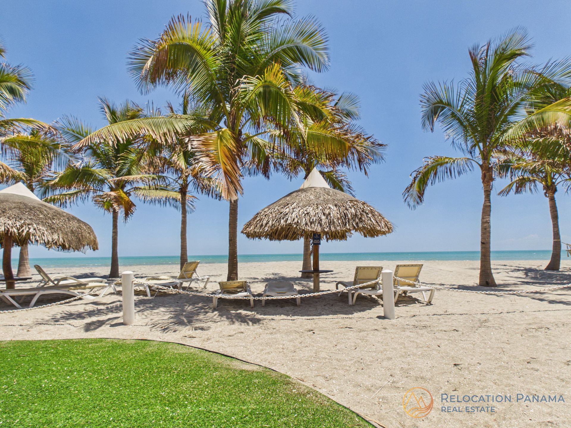 Playa tropical soleada con palmeras, tumbonas y sombrillas de paja junto a aguas color turquesa.