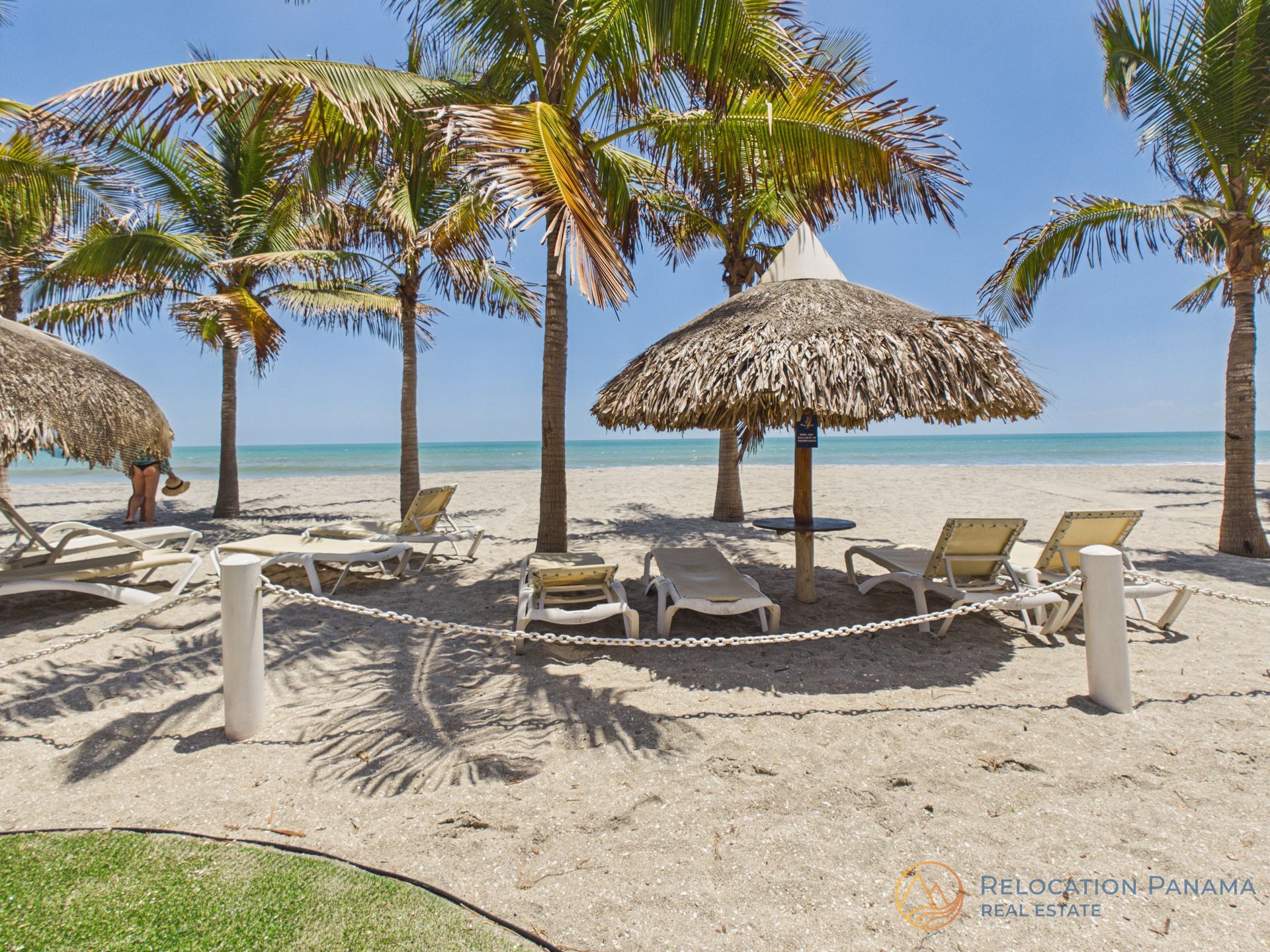 Playa tropical con palmeras, tumbonas y sombrillas de paja junto a aguas turquesas.