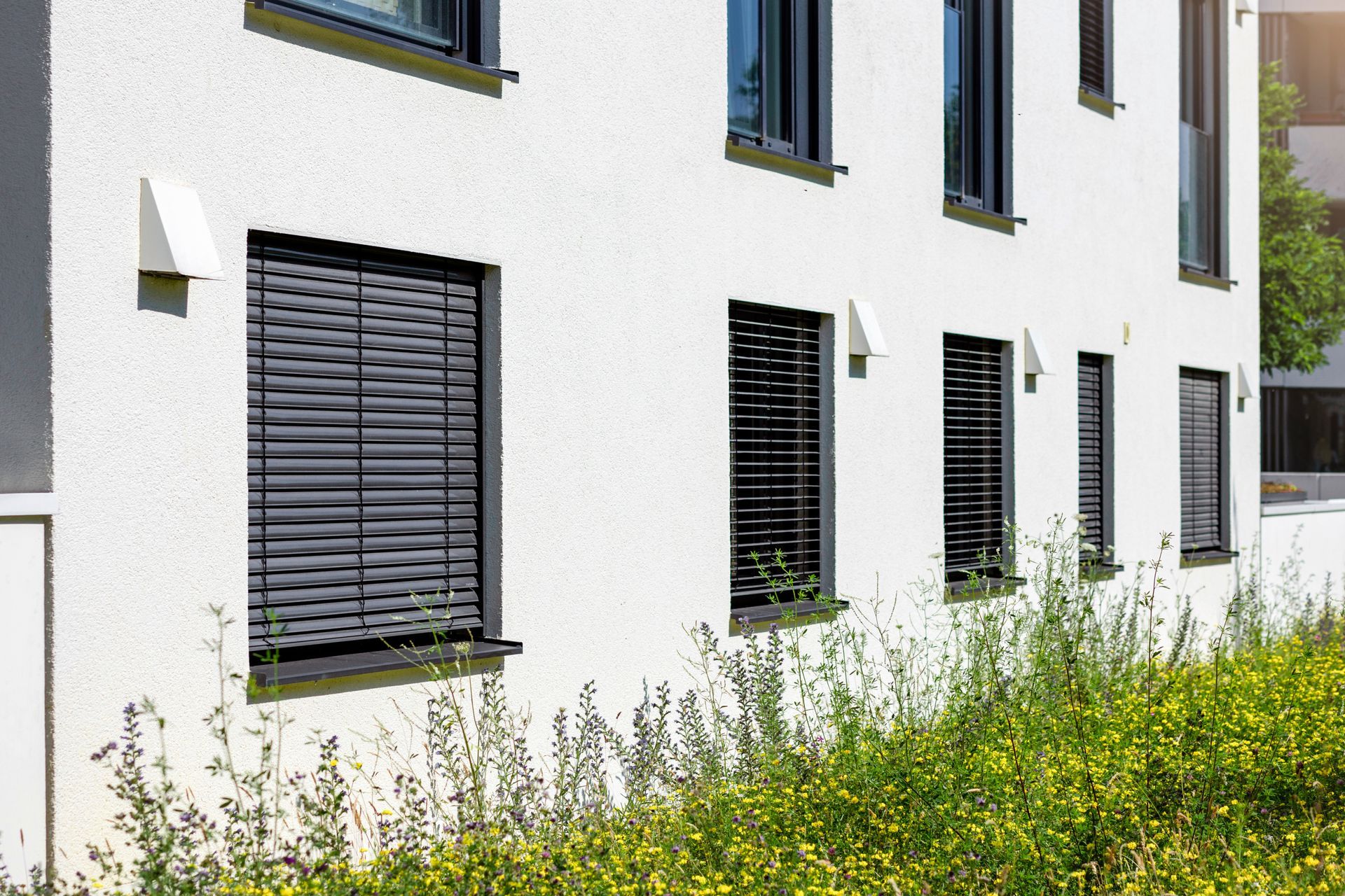Modern white apartment building facade with black shutters and windows above tall yellow-green grass