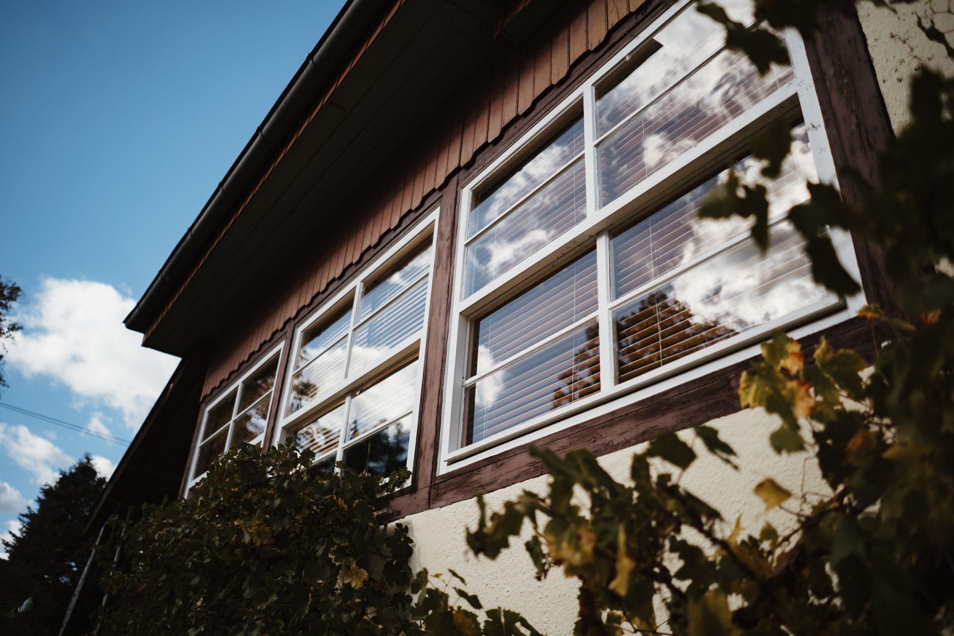 Low-angle view of a house facade with large windows, blue sky, and leafy branches in the foreground