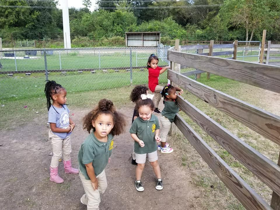 Children in a grassy field
