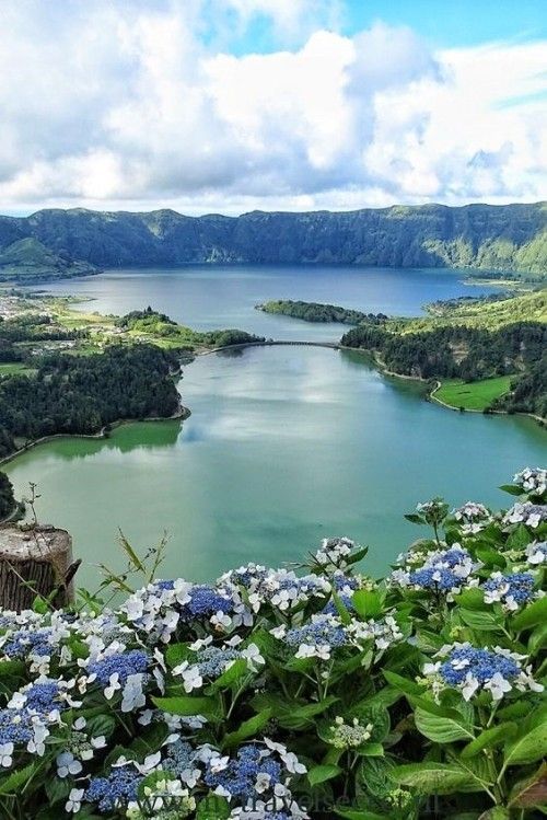 Vinhos dos Açores