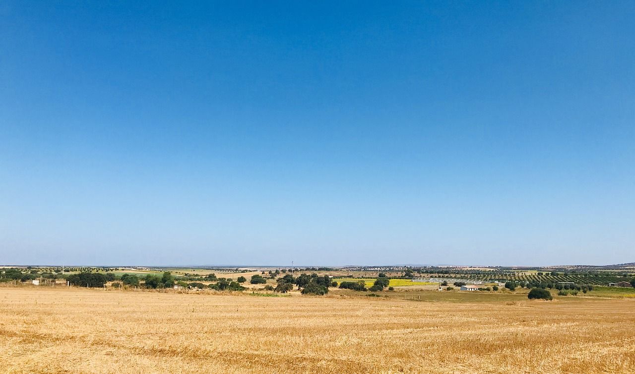 Vinhos do Alentejo