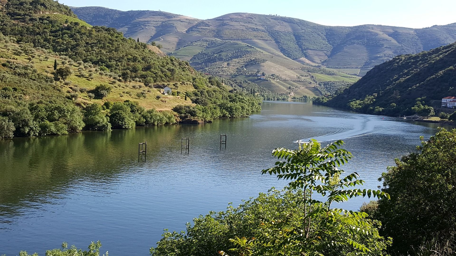 Vinhos do Douro