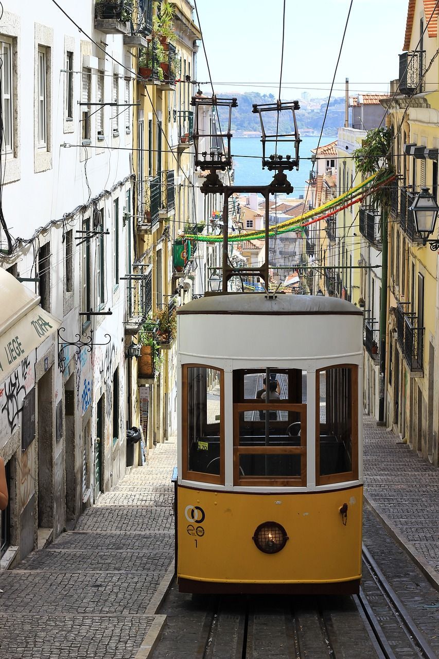 Vinhos de Lisboa