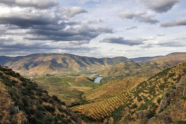 Vinhos de Trás os Montes