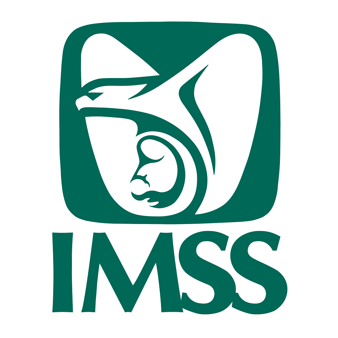 IMSS Patrones
