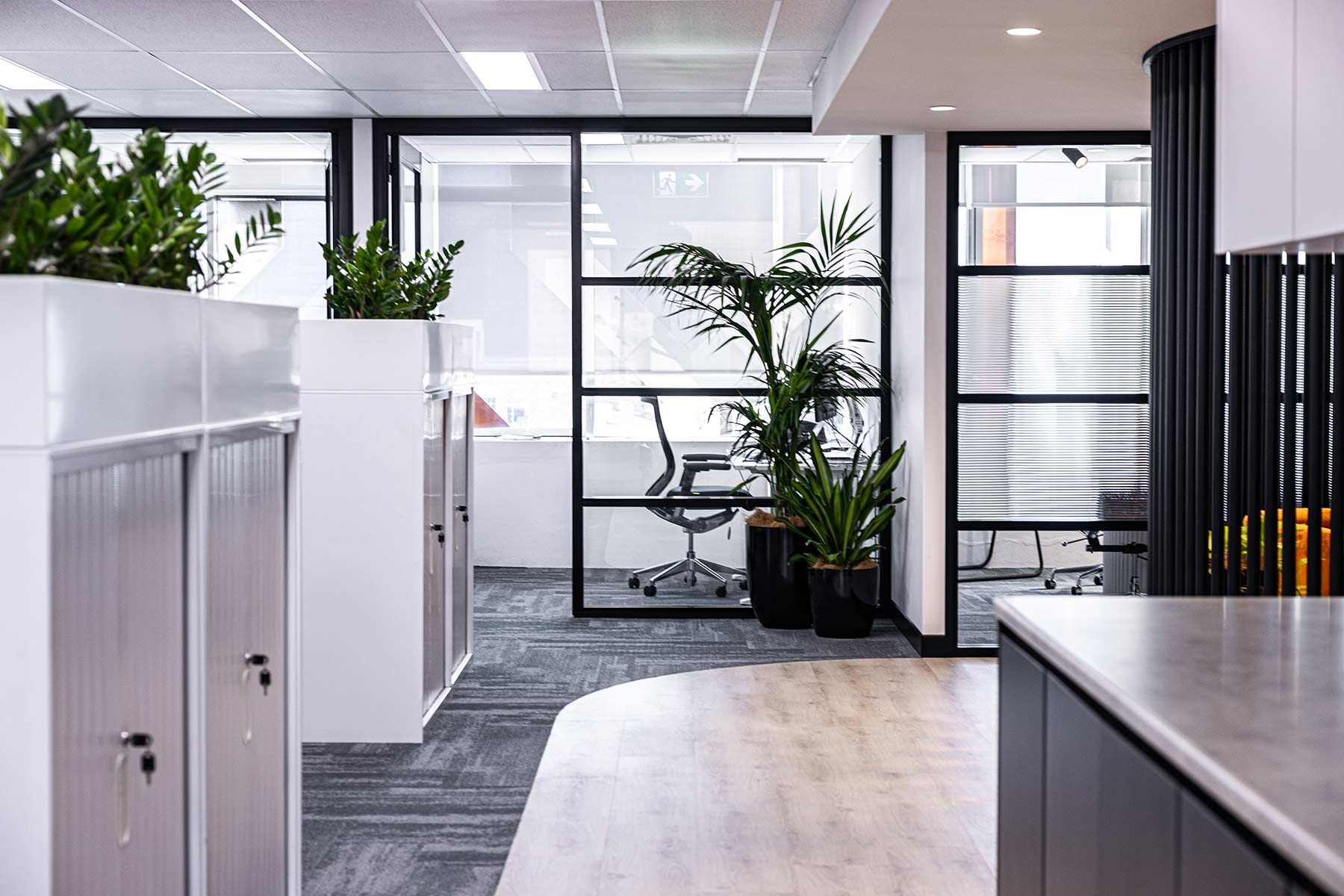 Office Space With Glass Walls and Potted Plants — JMB Electrical Services In Port Kembla, NSW