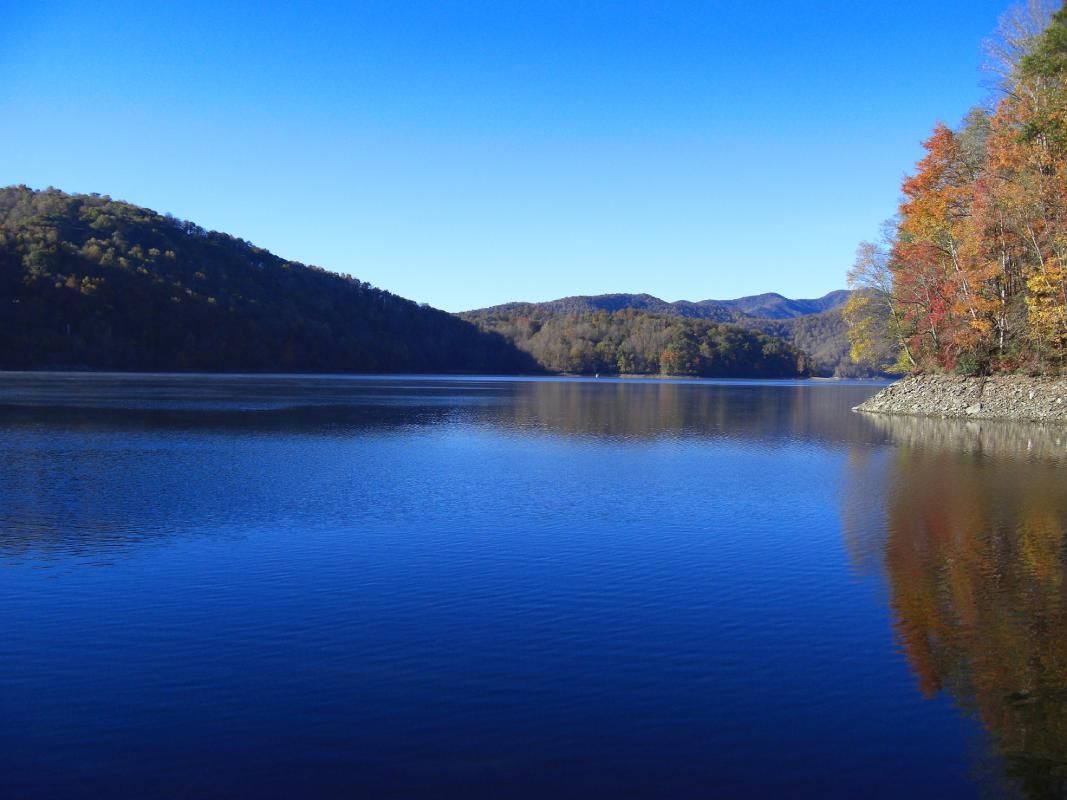 Secluded cabins near a tranquil lake