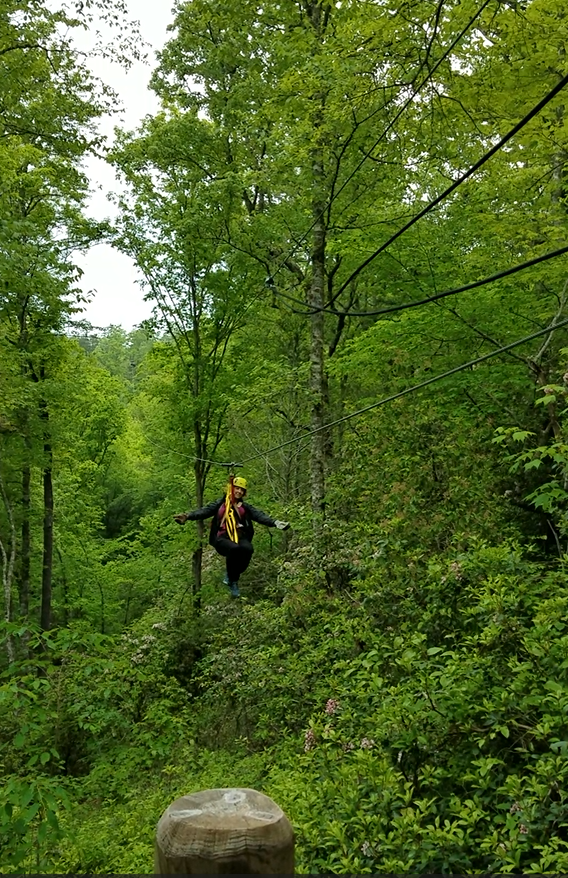A woman ziplining through a lush, green forest