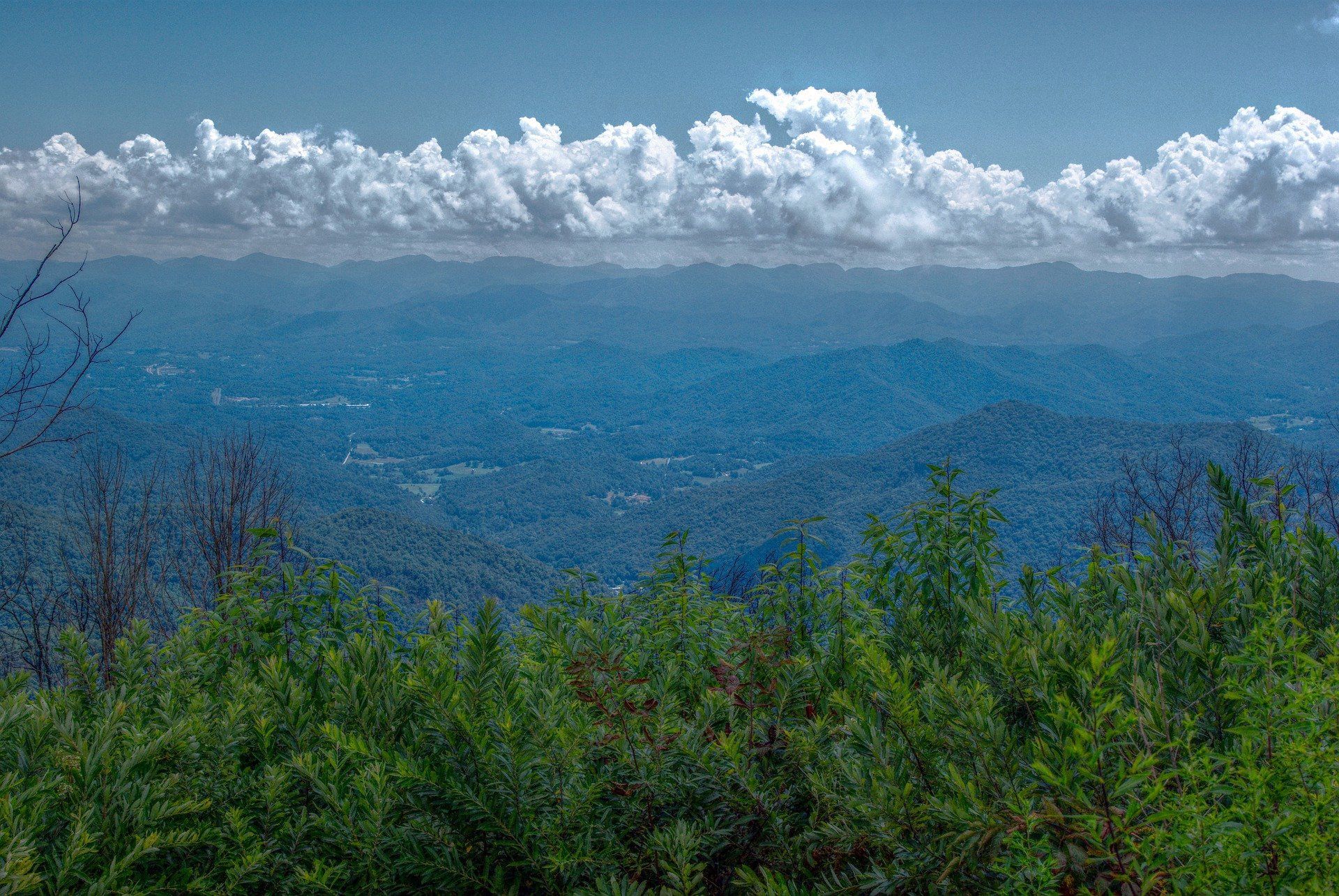 Lush picture of a Blue Ridge skyline from Wesser Bald vantage point with green foliage, blue skies, and rolling clouds.