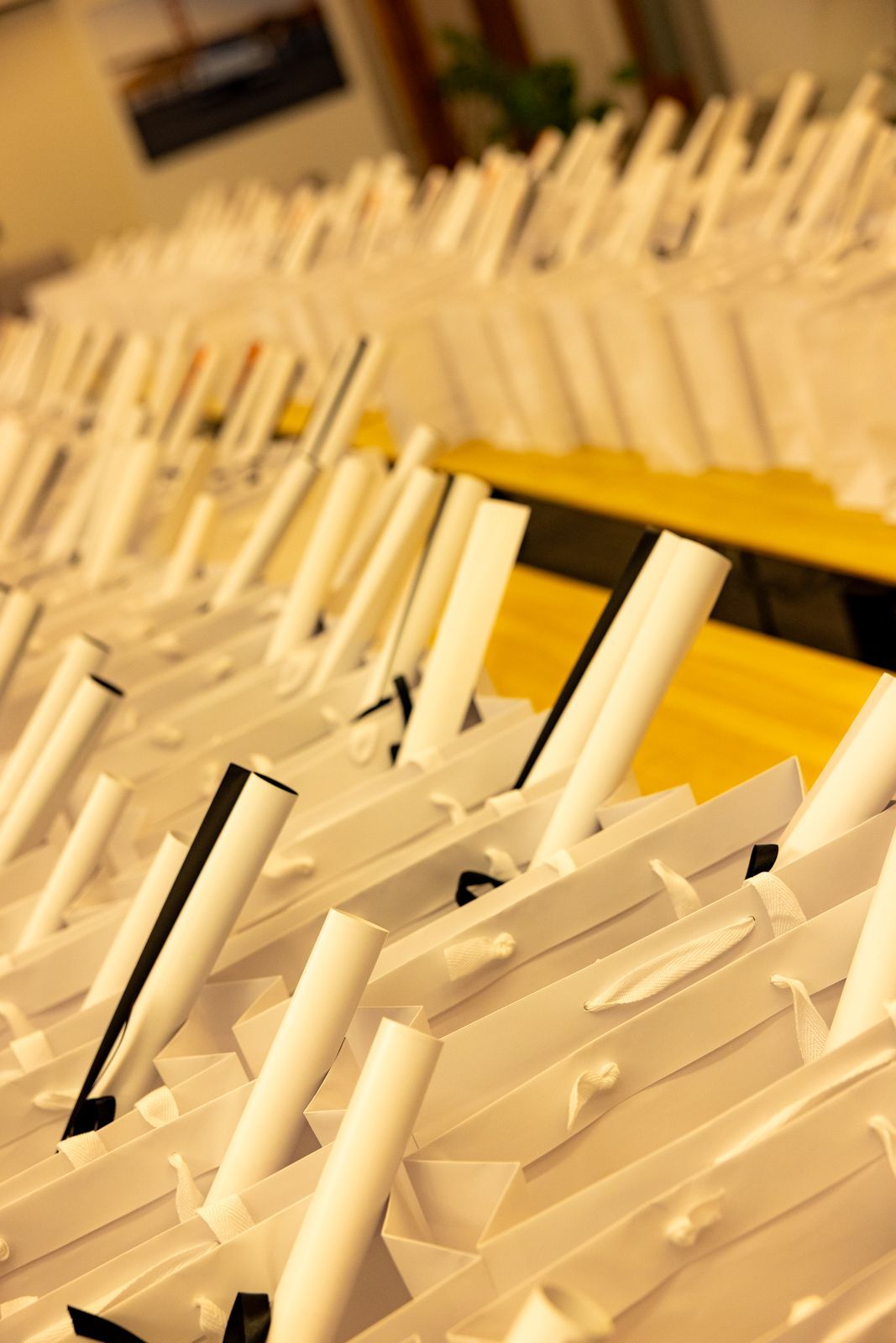 Rows of white clothespins clustered in warm yellow light