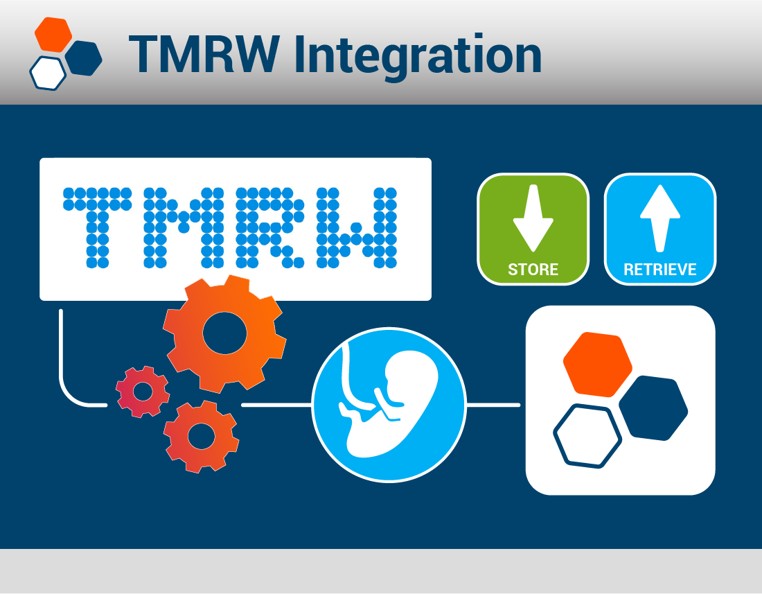API Integration