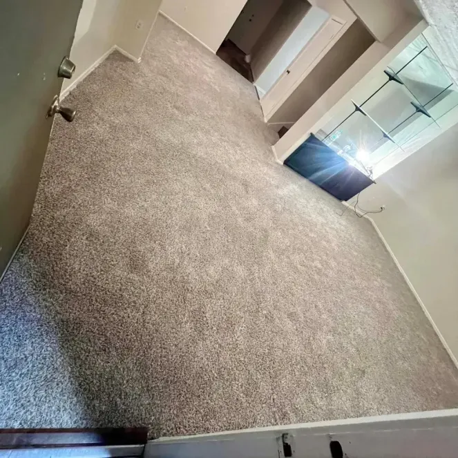 Empty beige-carpeted hallway with white walls and a glass display cabinet on the right.