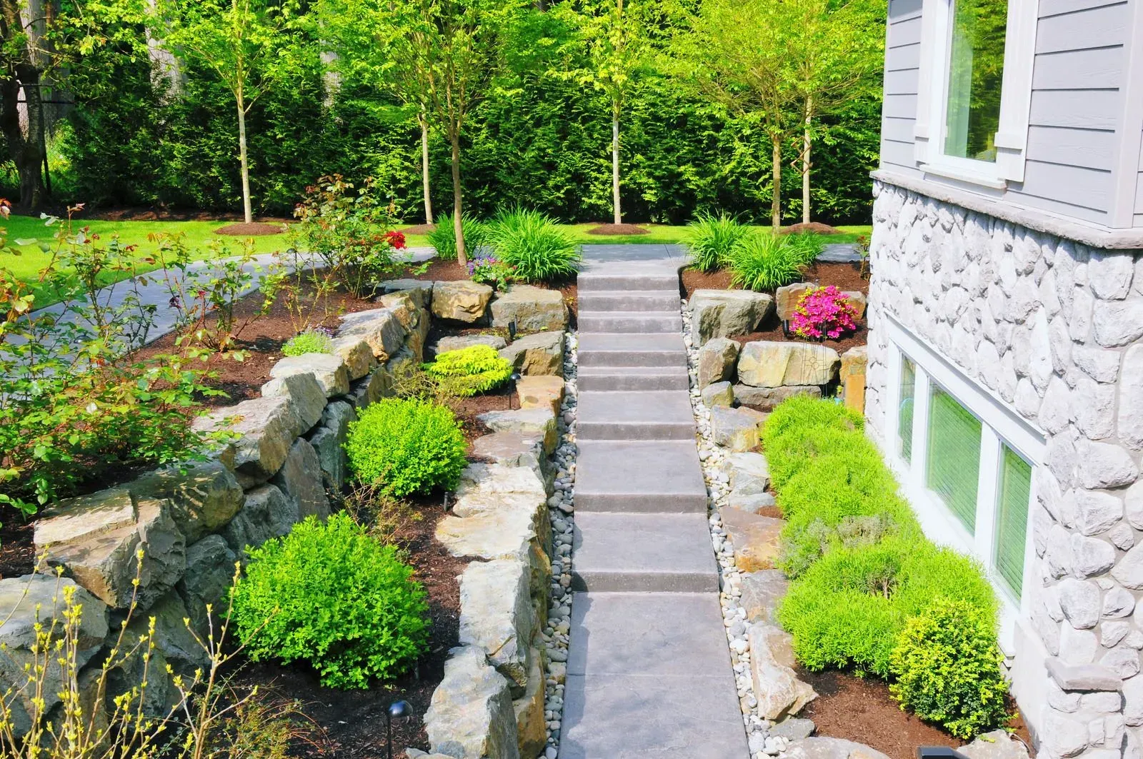 Stone steps lead up a landscaped yard with green shrubs and trees.