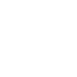 A white background with a few lines on it