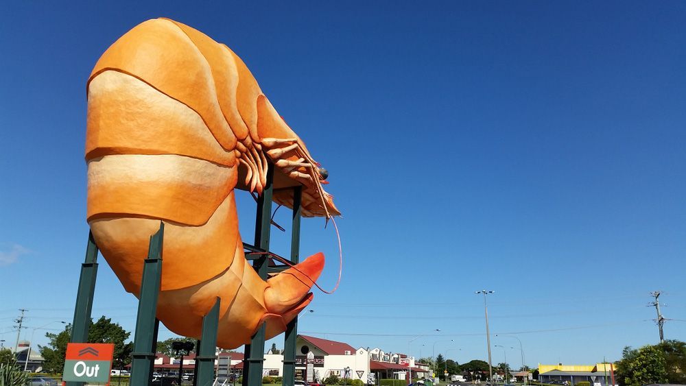 A Large Statue of a Shrimp is in Front of a Sign That Says Out — Ballina Denture Clinic Michael J Parker in Ballina, NSW
