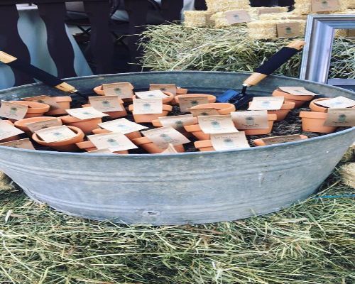 Clay pots with seed packets inside a large metal tub, on a bed of hay.