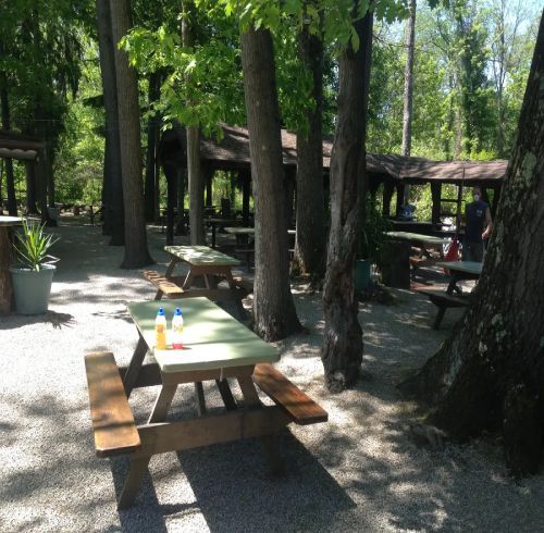 Picnic tables under shade trees in a park with covered seating areas in the background.