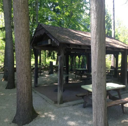 Wooden picnic shelter surrounded by trees, with picnic tables inside.
