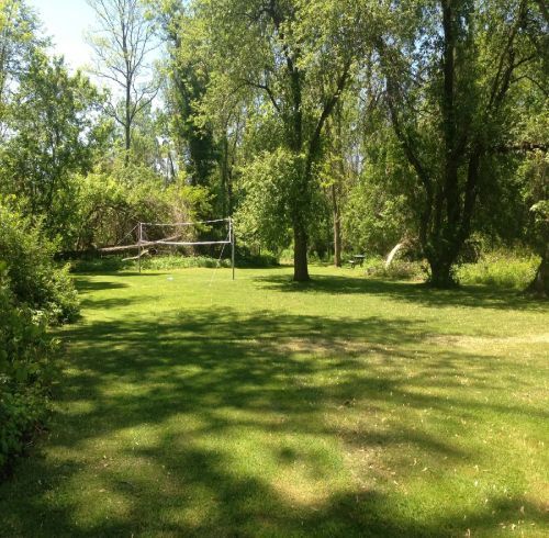 Green grassy yard with volleyball net; trees and brush in the background.