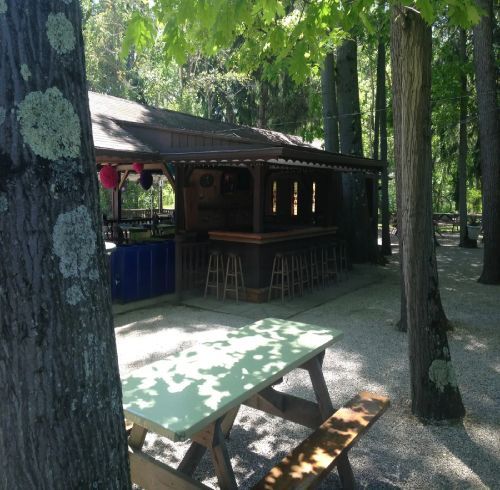 Outdoor bar with stools, picnic table, and trees. Shaded area.
