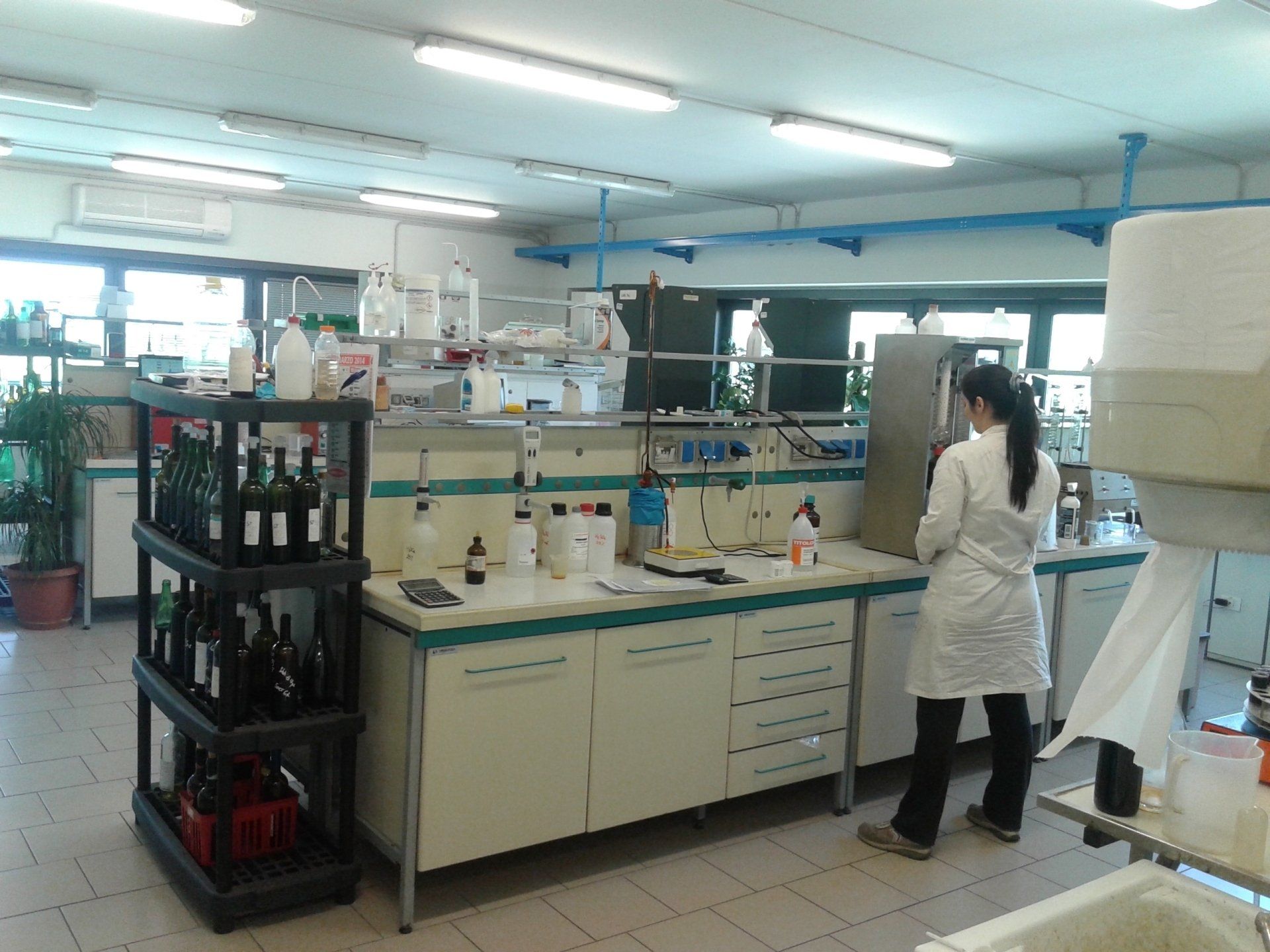 INDUSTRIA ENOLOGICA