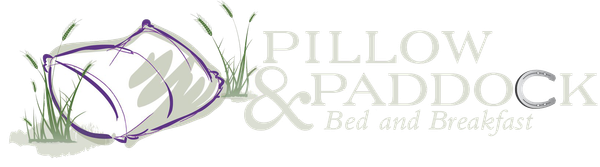 pillow and paddock bed and breakfast logo