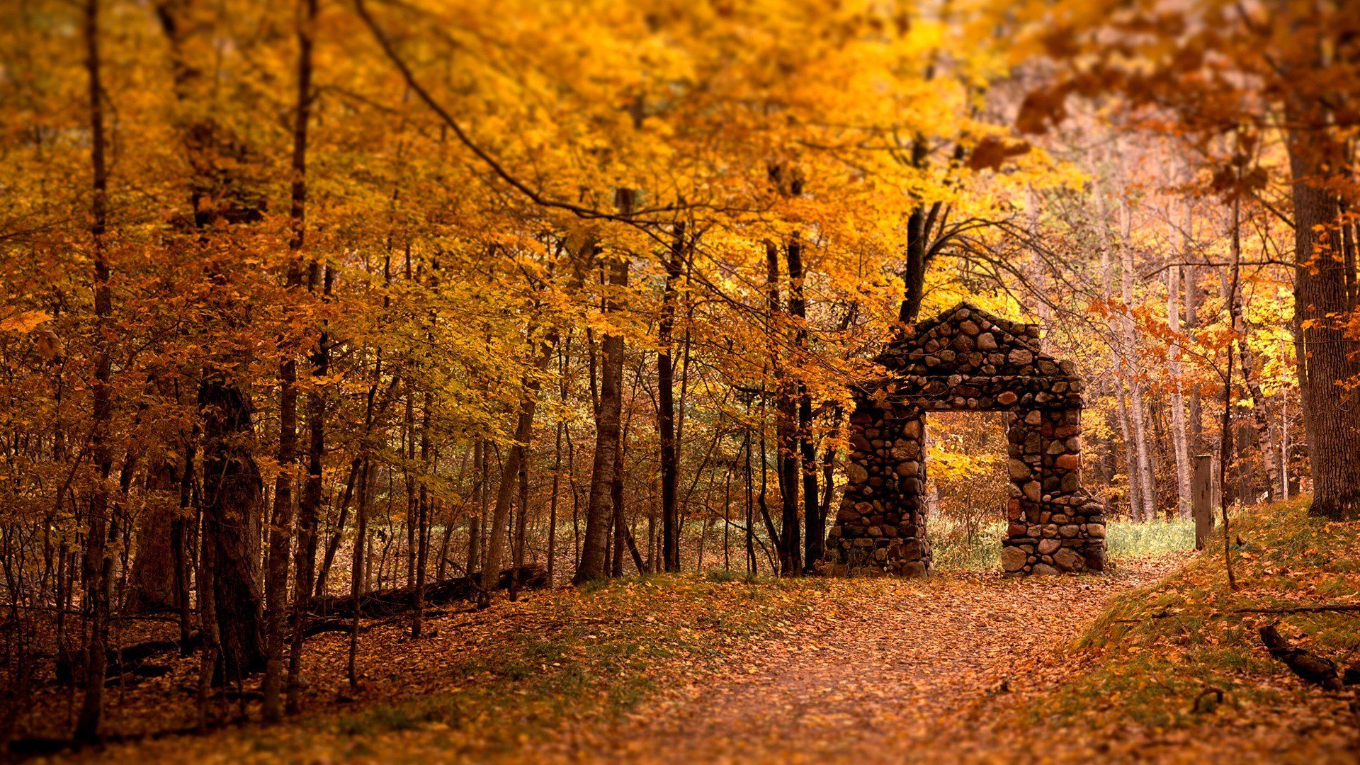fall fresh start