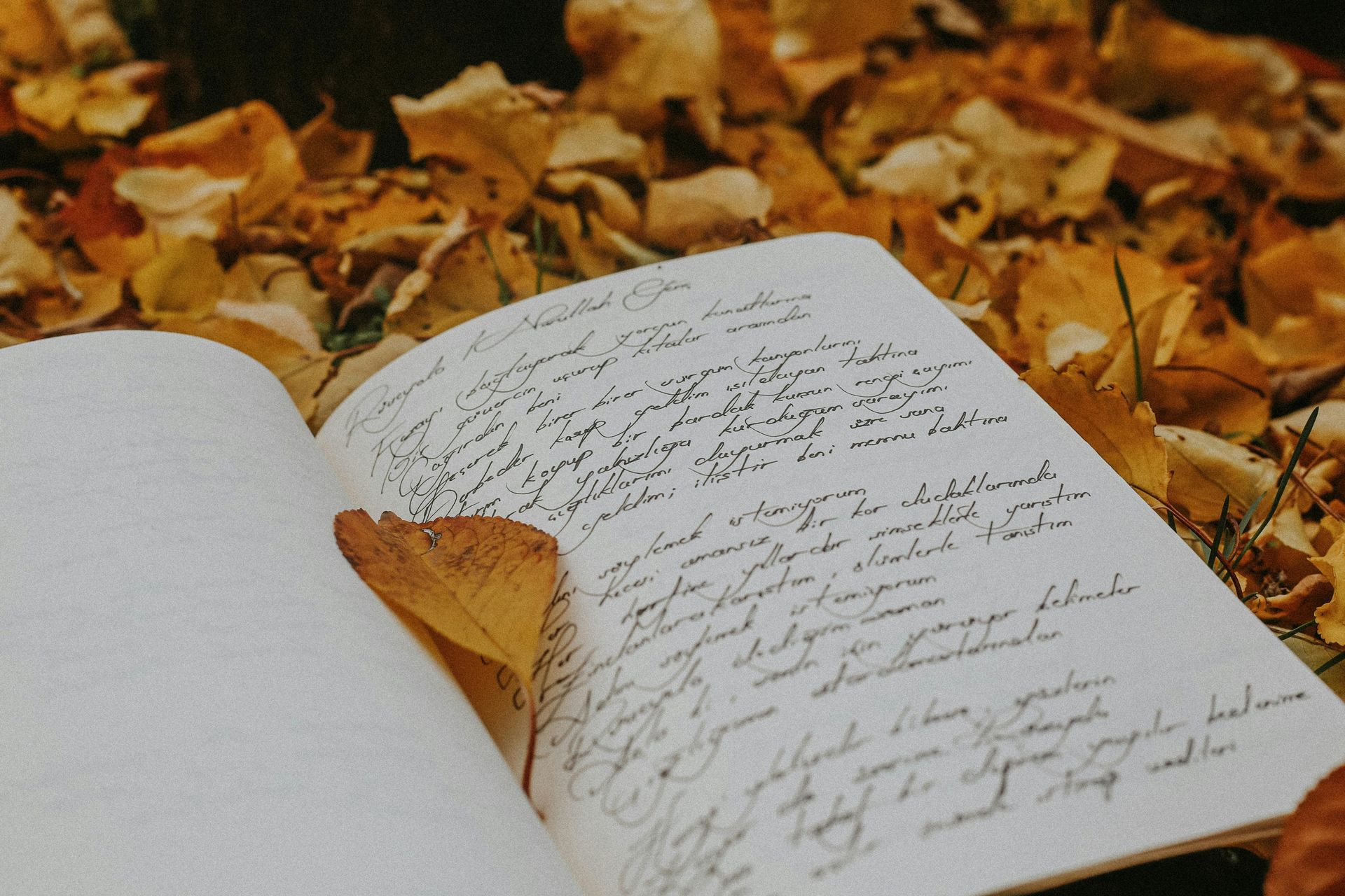 Open journal on fall leaves with fancy but illegible cursive one leaf sits on the spine crease
