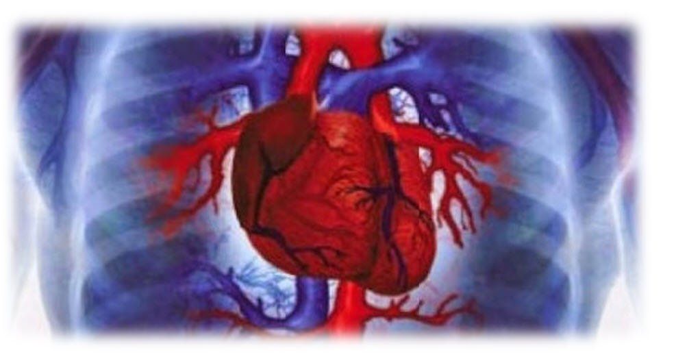 Christmas Day Produces More Heart Attacks Than Any Other Day