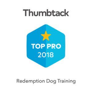 Dog Training Services Utah County