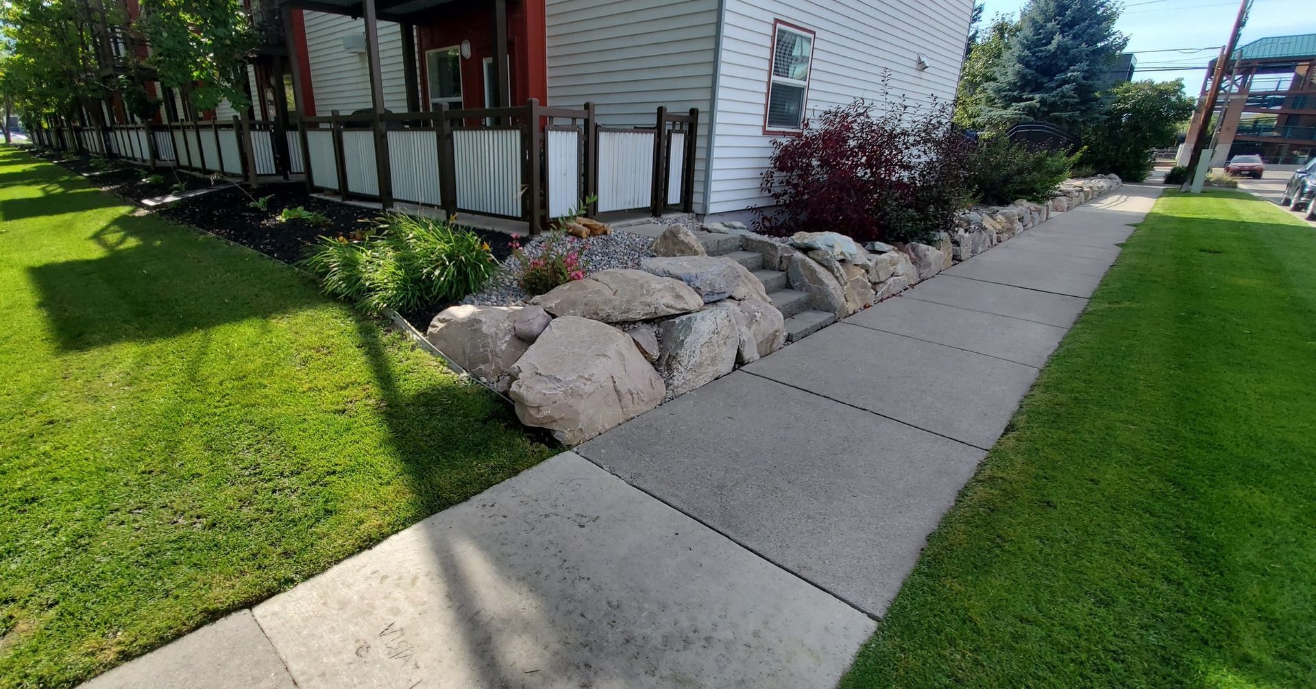 Green plants in a bed of pebbles along a gray sidewalk, beside a wooden fence.