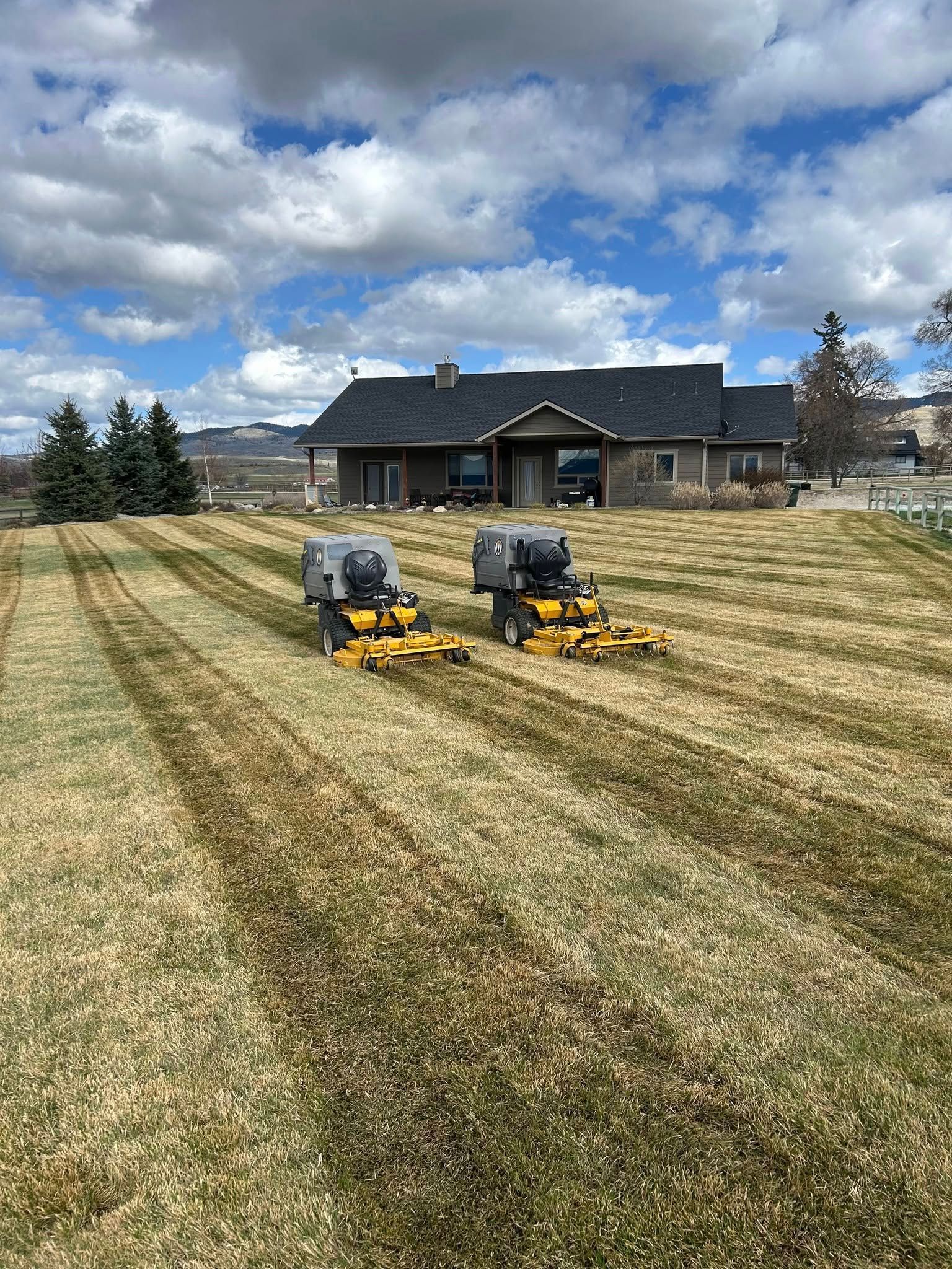 Two Walker lawn mowers sitting on a freshly dethatched striped grassy lawn in front of a house on a sunny day.