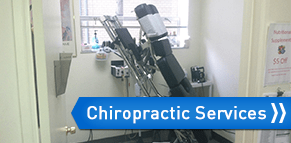 Chiropractic Services — Chiropractic Services in Fort Lee,NJ Chiropractic Services — Chiropractic Services in Fort Lee,NJ
