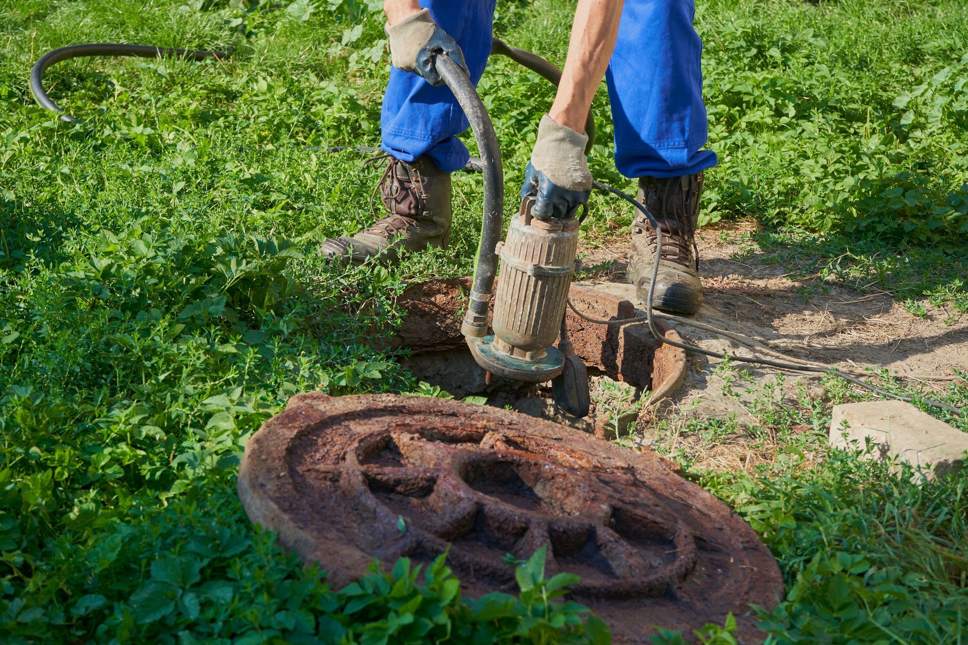 Person digging up a rusty manhole cover in a green field with a shovel