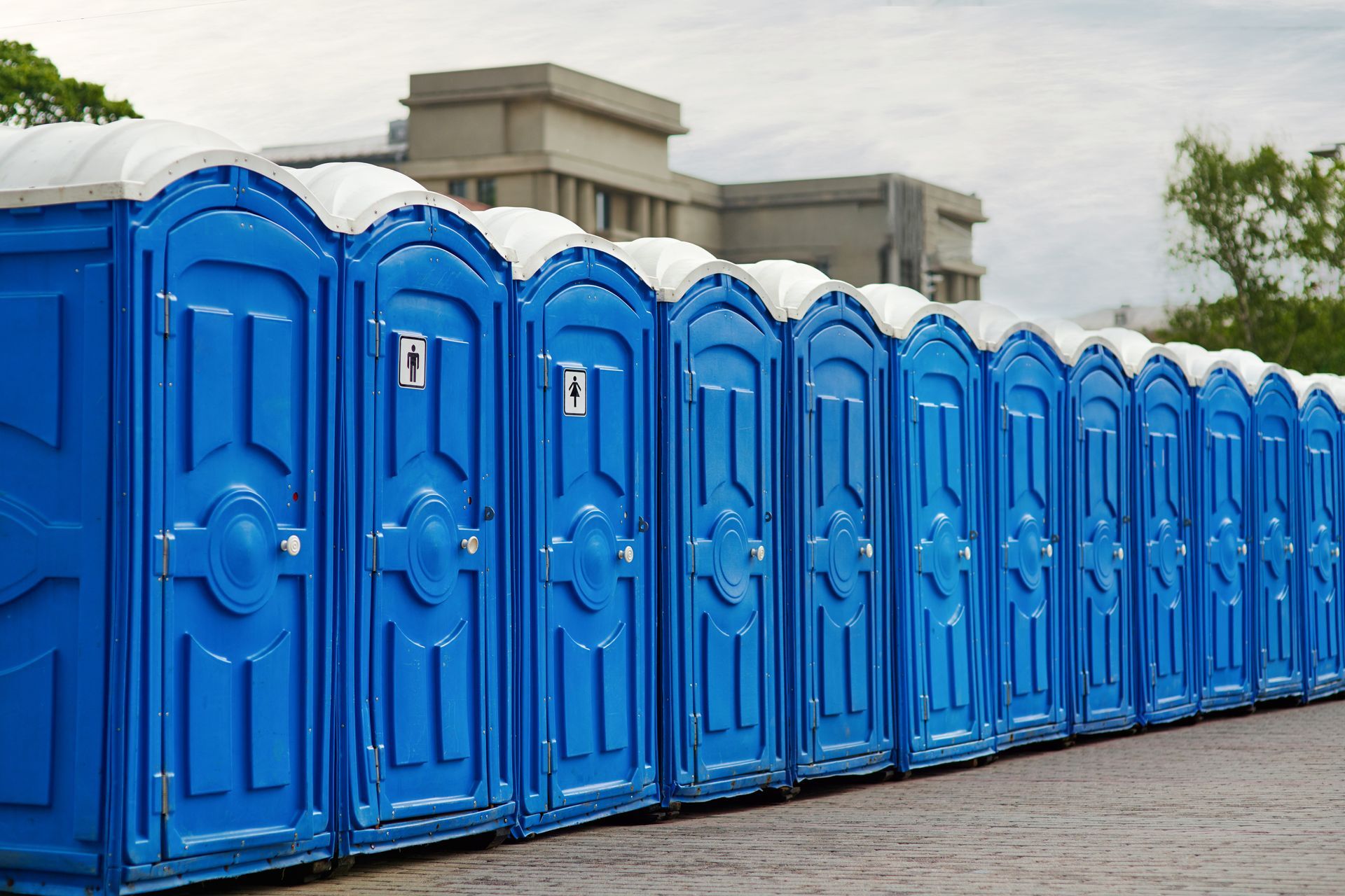 Row of bright blue portable toilets lined up outdoors near a building