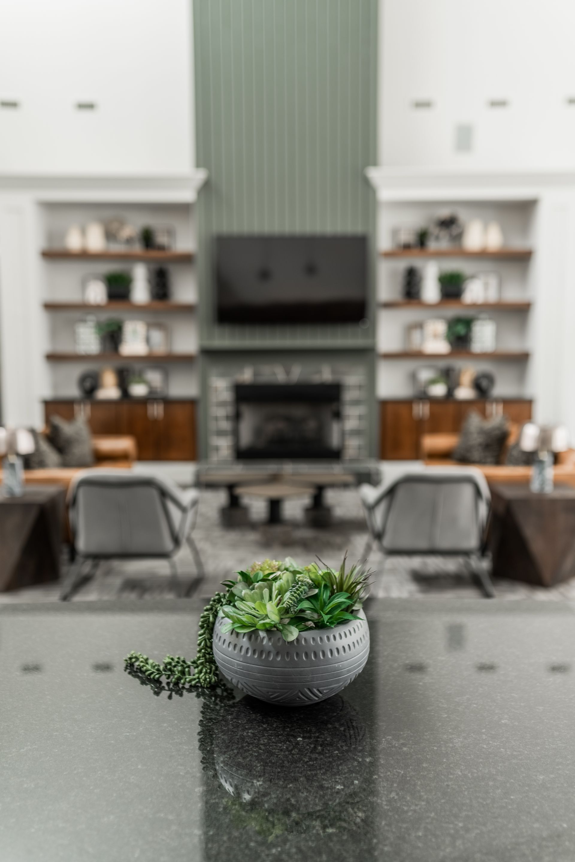 Small green plant in a gray pot on a black countertop, with a modern living room in the background at Willows at Fort Mill apartments for rent in SC.