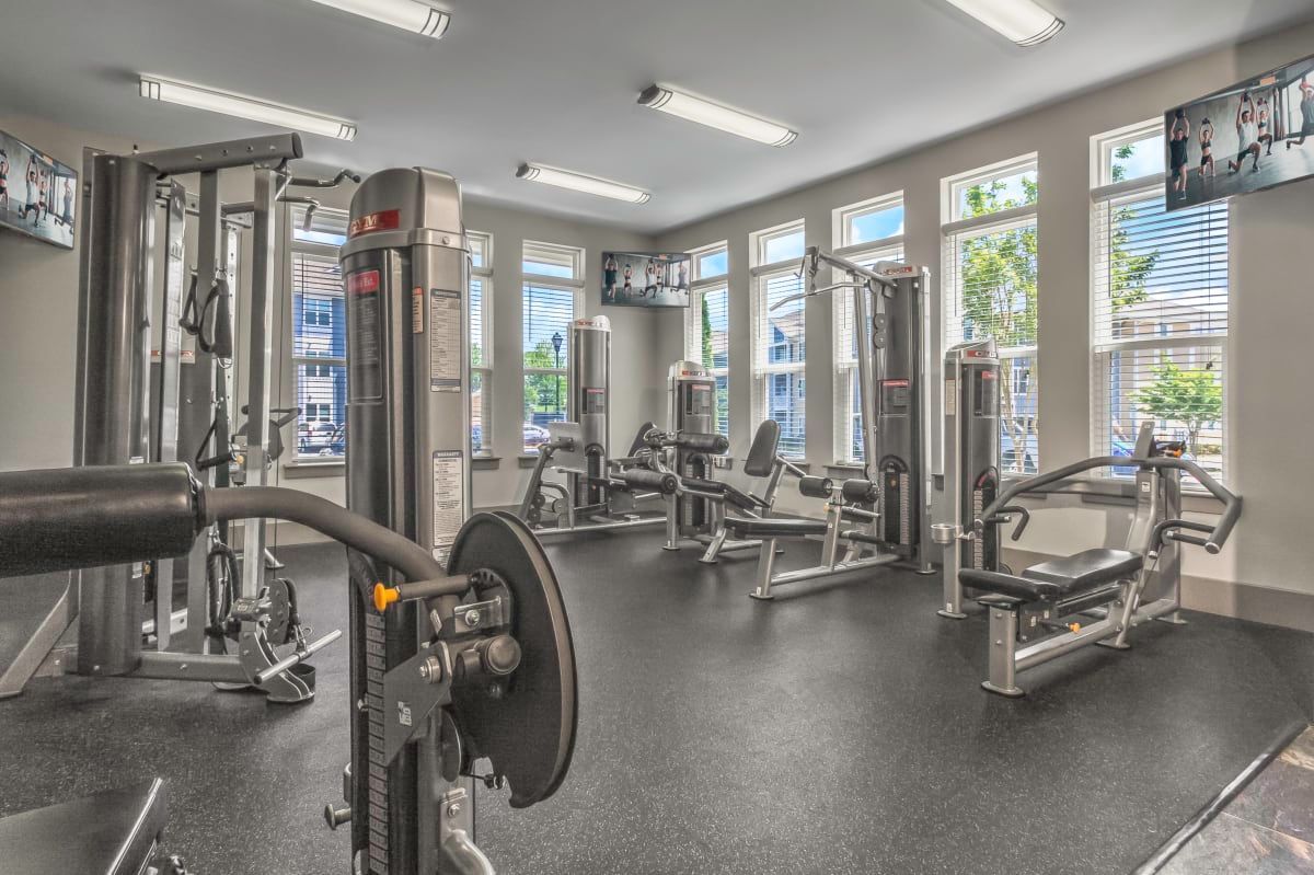 Modern gym with various weight machines, treadmills, and large windows in a bright room at Willows at Fort Mill apartments for rent in SC.