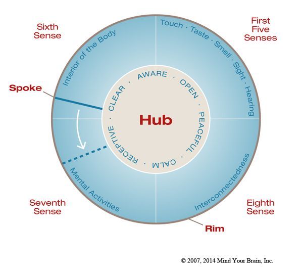 A diagram showing the seventh sense and the eighth sense