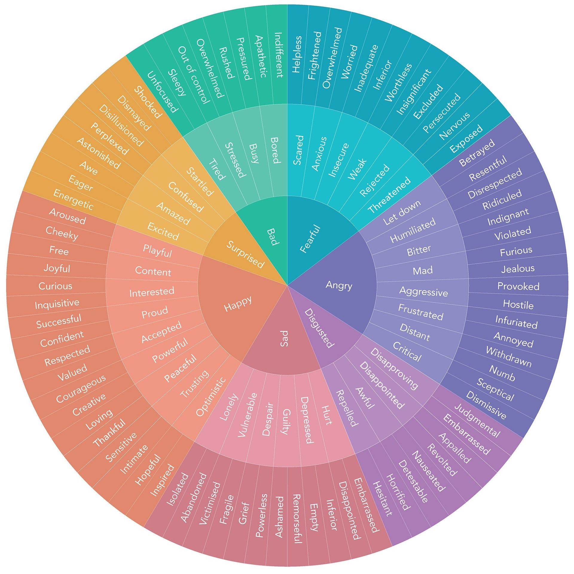 A rainbow colored circle with many different words on it