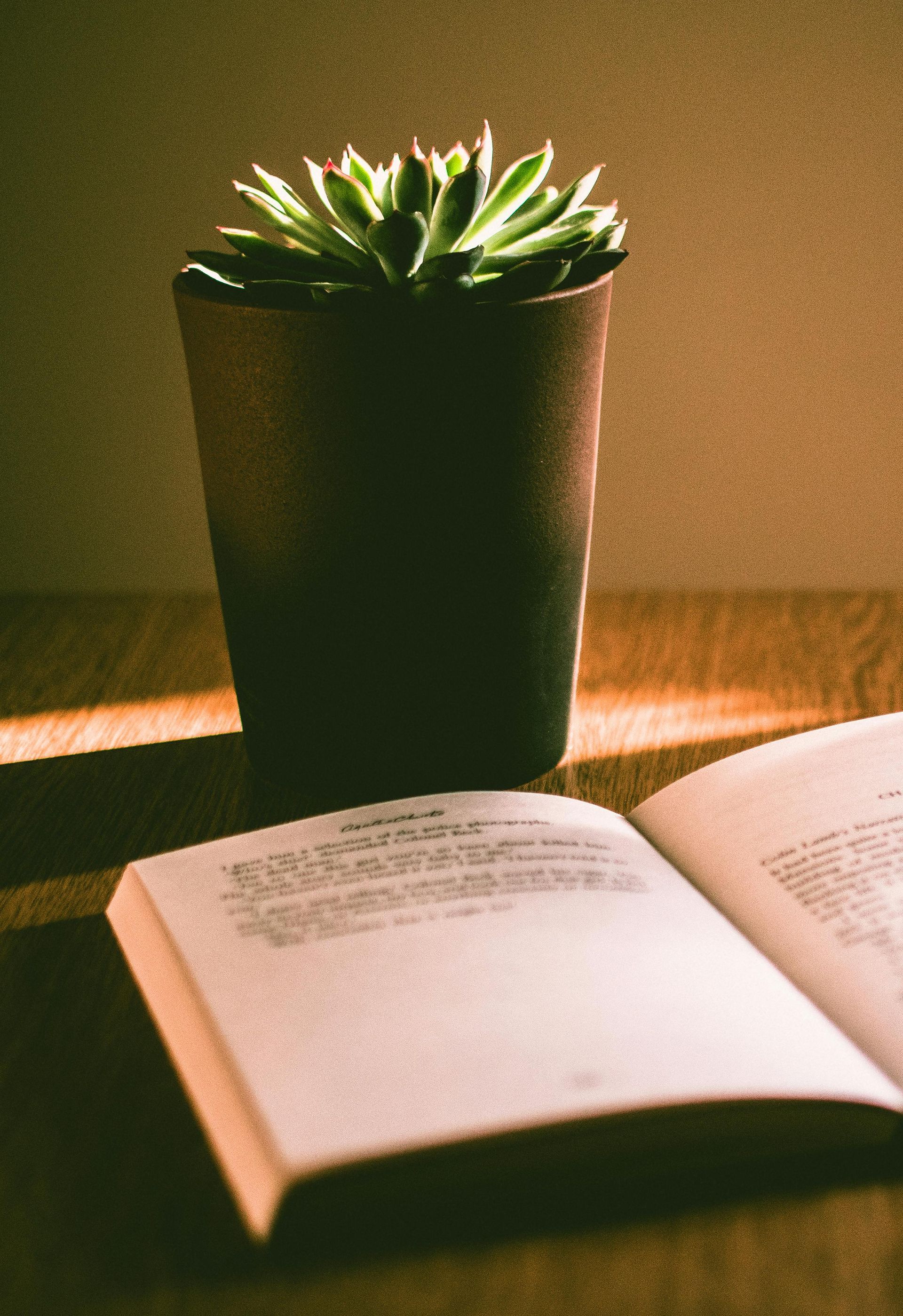 A potted plant sits next to an open book on a table.