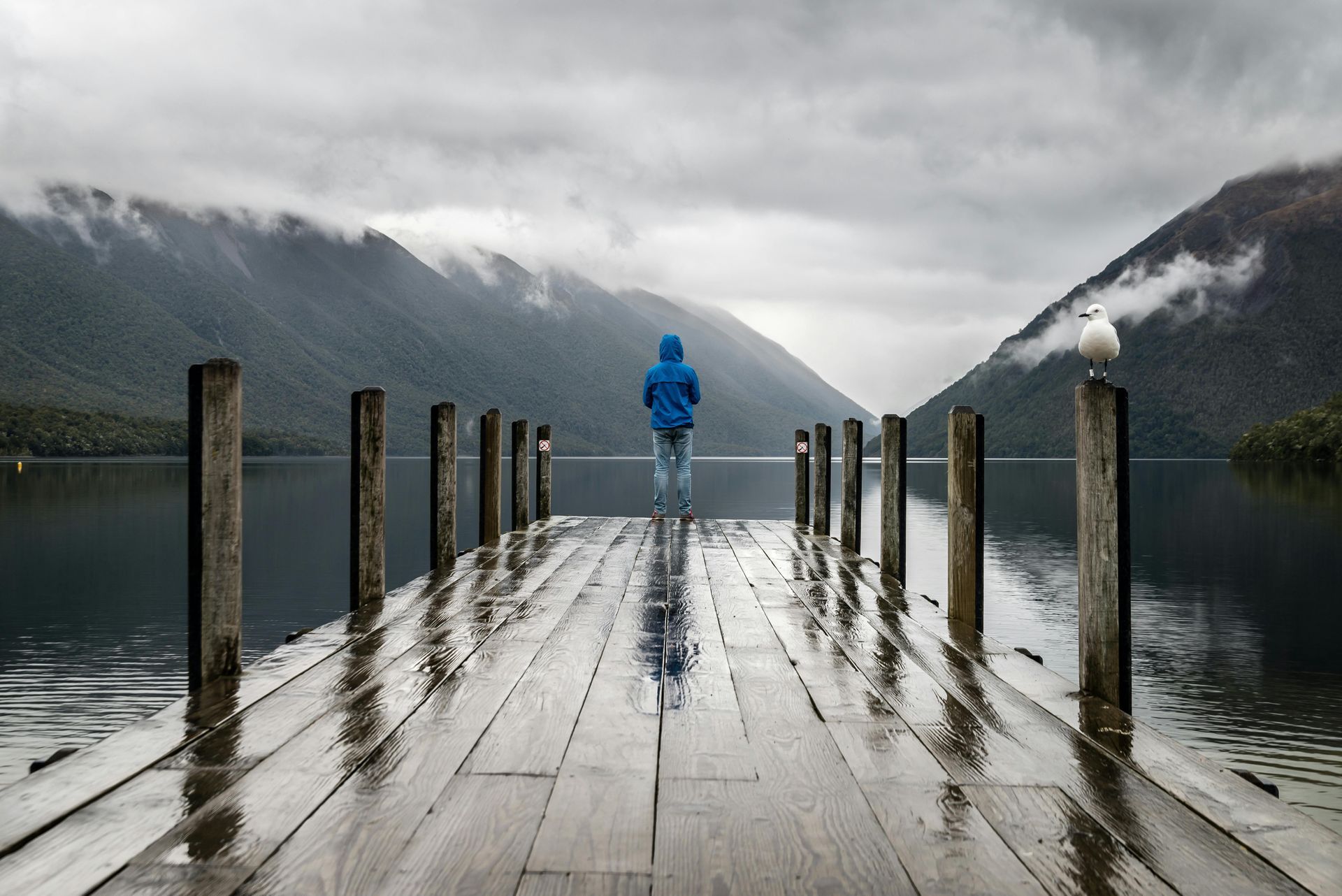 A man in a blue jacket is standing on a dock overlooking a lake.